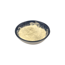 High quality freeze-dried probiotics powder lactobacillus fermentum